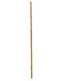 Bambusrohr, Ø=3cm, 200cm