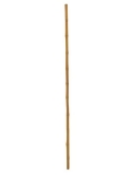 Bambusrohr, =3cm, 200cm