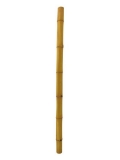 Bambusrohr, Ø=12cm, 200cm