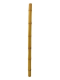 Bambusrohr, =12cm, 200cm